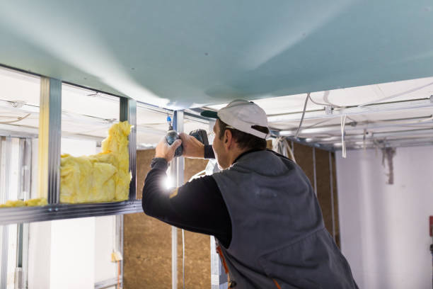 Best Commercial Insulation in Salida Del Sol Estates, TX