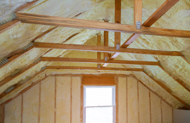 Best Fiberglass Insulation in Salida Del Sol Estates, TX