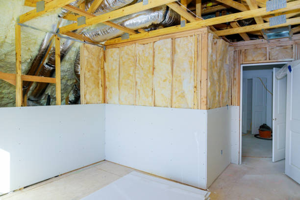 Best Eco-Friendly Insulation in Salida Del Sol Estates, TX