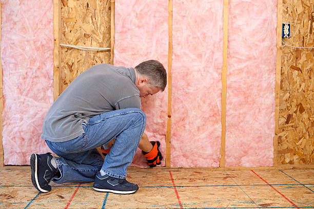 Best Geographic-Specific Insulation Services in Salida Del Sol Estates, TX