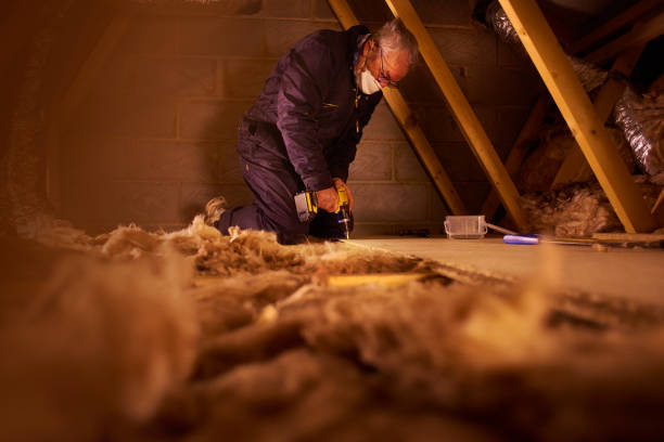 Professional Insulation Contractor in Salida Del Sol Estates, TX